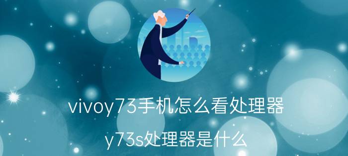 vivoy73手机怎么看处理器 y73s处理器是什么？